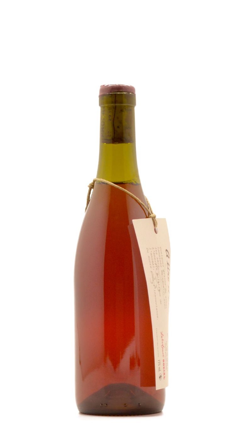 Tardive de Gamay